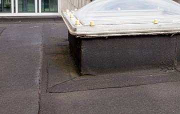 disadvantages of Nether Headon flat roofs