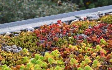 the cost of Nether Headon green roof installation