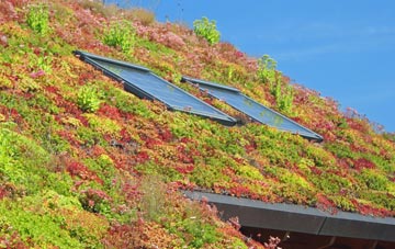 Nether Headon living roof systems