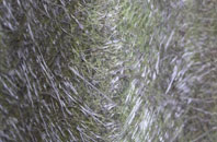 Nether Headon fibreglass roof work